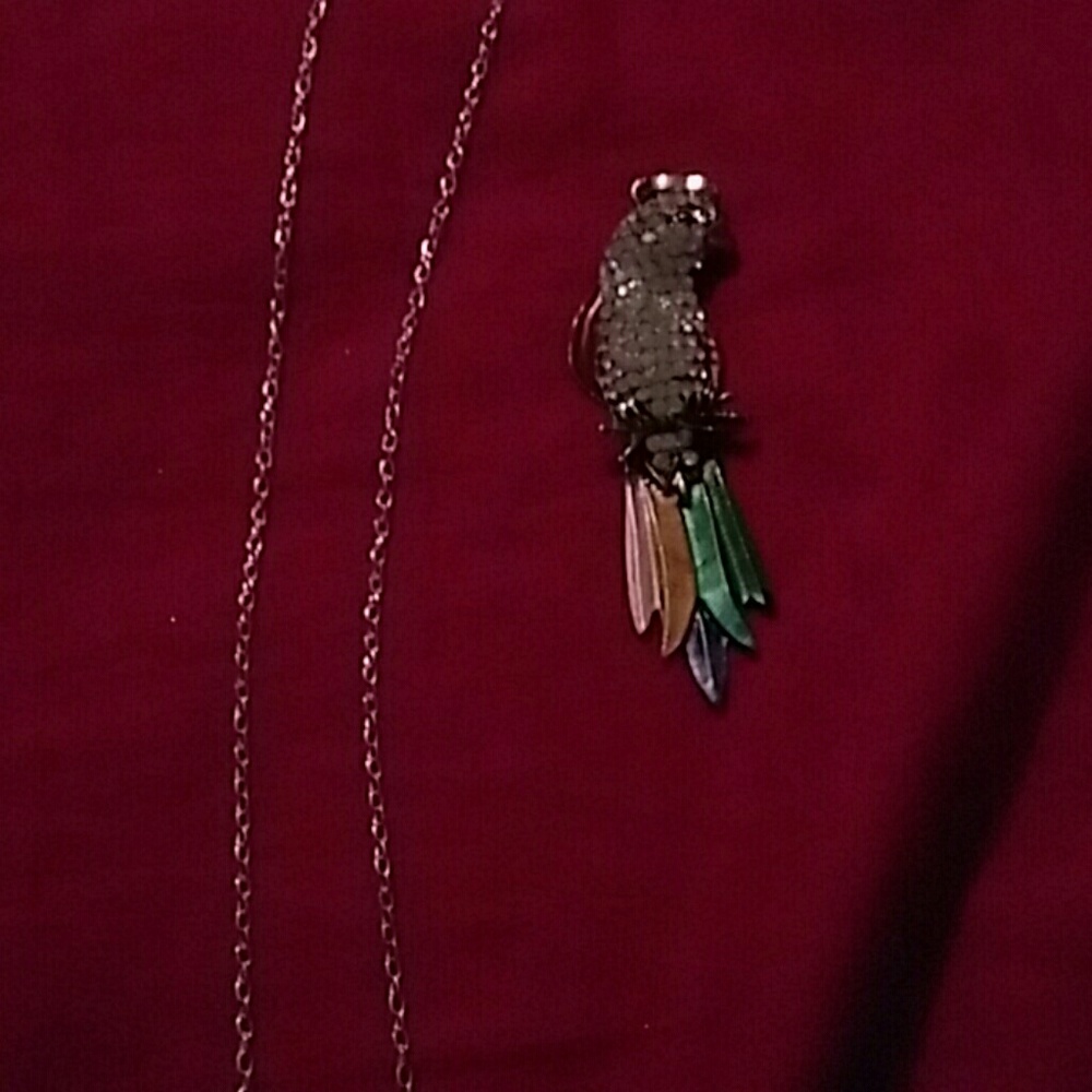 Parrot pendant and, chain.